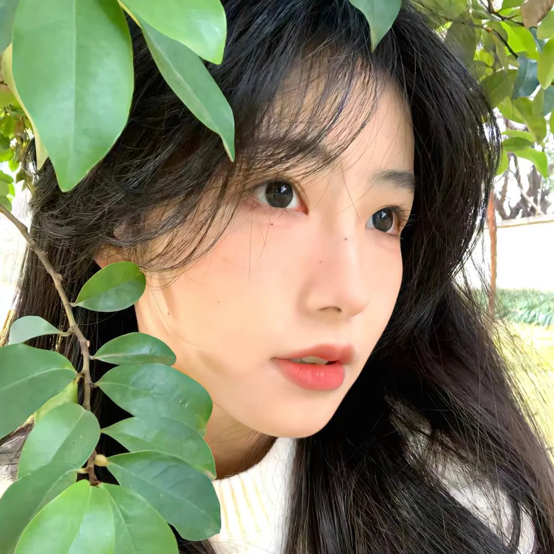 公民凯恩
